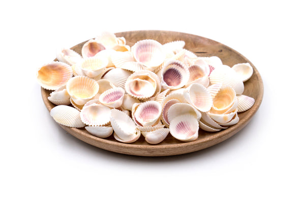 Pink and Yellow Cockle Shells - 1 Kg